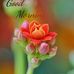 Profile Picture of Deepa Singh (@Deepa-Singh) on Facebook