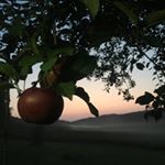 Profile Picture of Brandon Tober (@bgt_83) on Instagram