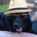 Profile Picture of RobbieMack (@robbiemack7095) on Pinterest