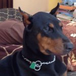 Jennifer Artman - Instagram Profile Picture of Jennifer Artman (@naty1107) on Instagram