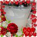 Profile Picture of Rosa Luciano (@rosa.luciano.16718) on Facebook