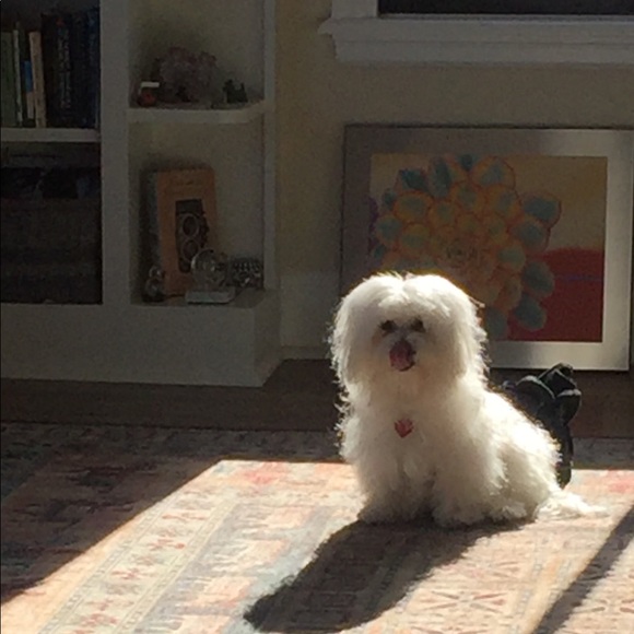 Profile Picture of Janet Reider (@jpreider) on Poshmark