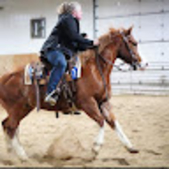 Profile Picture of Kelly Jaeckels (@ktjaeckels) on Poshmark