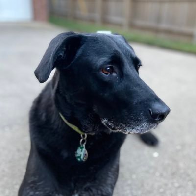 Profile Picture of Dustin Sprague (@sprague_dustin) on Twitter