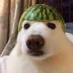 Profile Picture of David Neil (@david.neil.444806) on Facebook