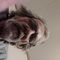Profile Picture of Richard Haight (@richard.haight.142) on Facebook