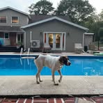 Profile Picture of Nancy Rowinski (@nancy.rowinski.2025) on Facebook