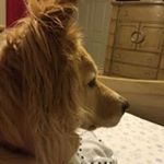 Profile Picture of Jacob (@jacob_blustein) on Instagram