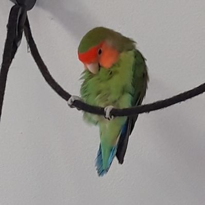 Profile Picture of Placido (@placidMike) on Twitter