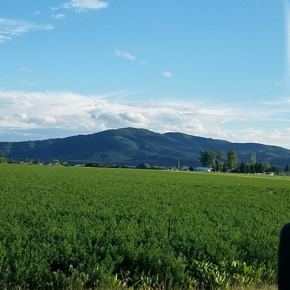 Profile Picture of Brandy Conklin (@brandy2424) on Poshmark