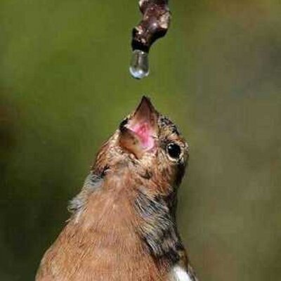 Profile Picture of Khalid ALbadri (@Abo_Deema17) on Twitter