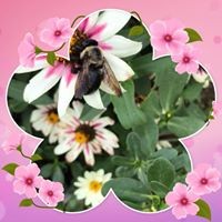 Profile Picture of Laney Smith (@laney-smith-24) on Quora