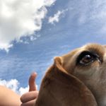 Profile Picture of Dan🥶 (@danieldaykin.__) on Instagram