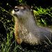 Profile Picture of Richard Englehart (@englehart0689) on Pinterest