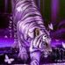 Profile Picture of Brenda Guffey (@brenda.guffey.12720) on Facebook