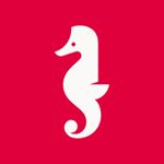 Holberton School New Haven - Instagram Profile Picture of Holberton School New Haven (@holbertonnhv) on Instagram