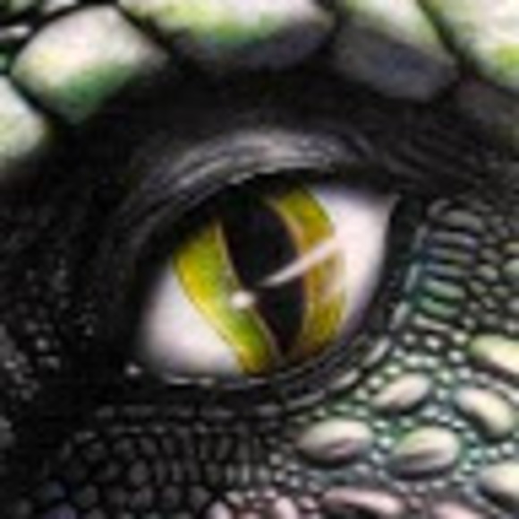 Profile Picture of Christopher Horting (@dragonspire) on Poshmark