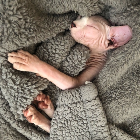 Profile Picture of Yuting Liu (@yuting1122) on Poshmark