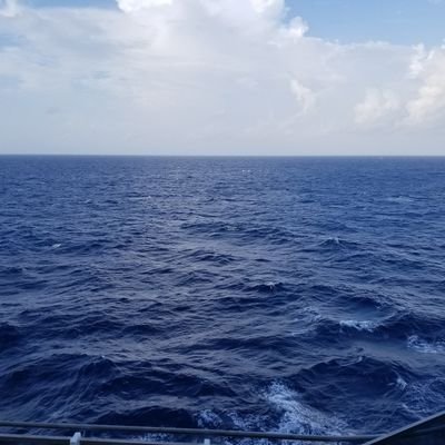 Profile Picture of Alex Vickery (@dvickerylg) on Twitter