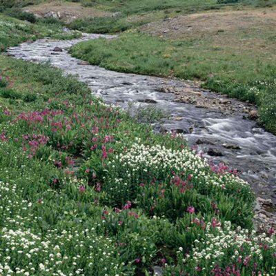 Profile Picture of Richard Natale (@@Rich_Natale) on Twitter