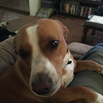 William Marvin - Flickr Profile Picture of William Marvin (@William Marvin) on Flickr