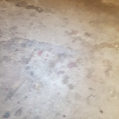 ALEX LOSEV - Twitter Profile Picture of ALEX LOSEV (@ALEXLOSEV8) on Twitter