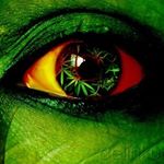 Ronald Serrano - Instagram Profile Picture of Ronald Serrano (@ronaldserrano6479) on Instagram