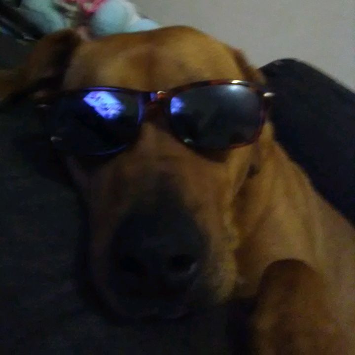 Profile Picture of mistysheeps (@@mistysheeps) on Tiktok