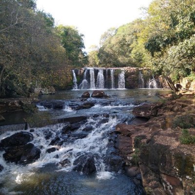 Profile Picture of Diego Krein (@diegokrein) on Twitter