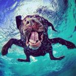 Profile Picture of DELLA (@dellaheller.855) on Instagram