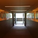 Profile Picture of David Steinle (@dade.steinle) on Instagram