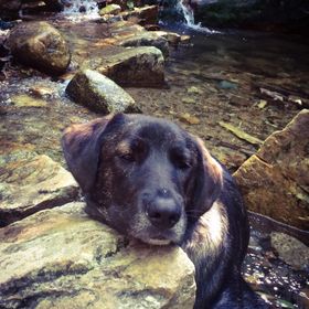 Profile Picture of Michael Fijalkiewicz (@whazzer) on Pinterest