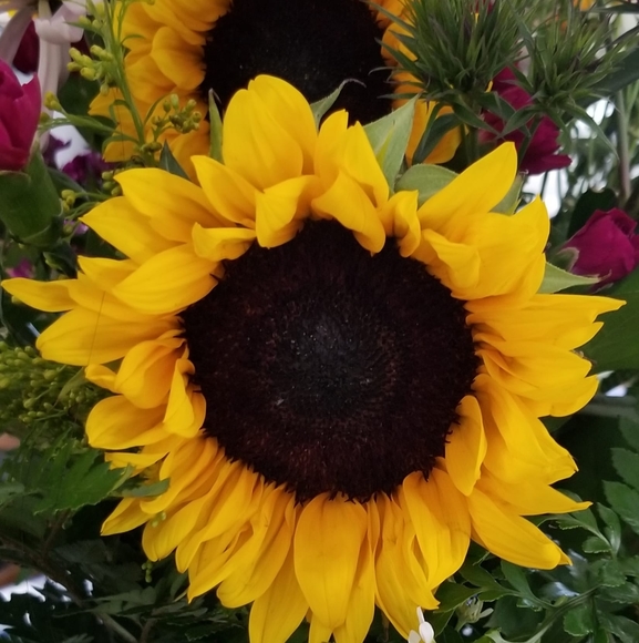 Profile Picture of Lisa Lowe (@lisalowe90) on Poshmark