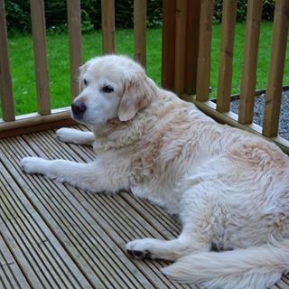 Profile Picture of Neil Lobley (@Neil-Lobley) on Facebook