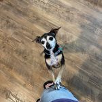 Profile Picture of Janis Phillips Herbert (@janis.phillips) on Instagram