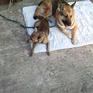 Profile Picture of Daniel Meinold (@Daniel-Meinold) on Facebook