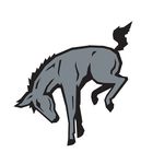 Profile Picture of Muhlenberg College Athletics (@muhl_sports) on Instagram