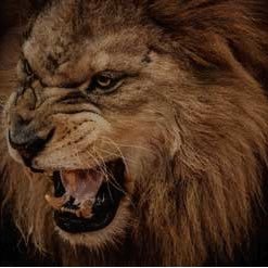 Profile Picture of Nicholas Muir (@nicholasmuir69) on Twitter