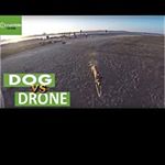 Profile Picture of eugene_vargas (@eugene_vargas) on Instagram