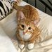Profile Picture of Mark Mckellar (@mark.mckellar.3958) on Facebook