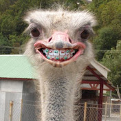 Profile Picture of Sabrina Mohamed (@sabrinamohamed695) on Youtube