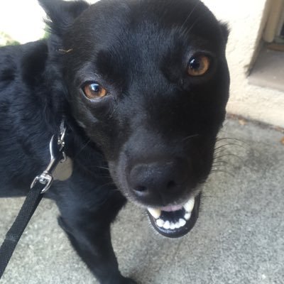 Profile Picture of Nicholas H. Balow (@BalowHN) on Twitter