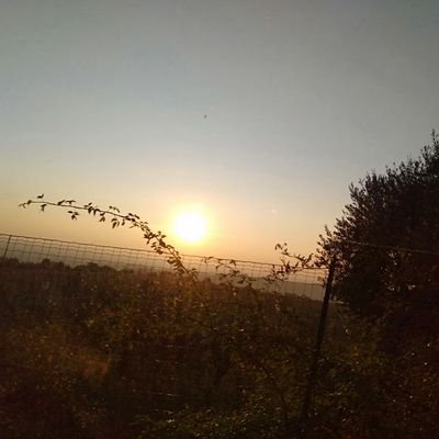 Profile Picture of Kessy.demanincor (@KDemanincor) on Twitter