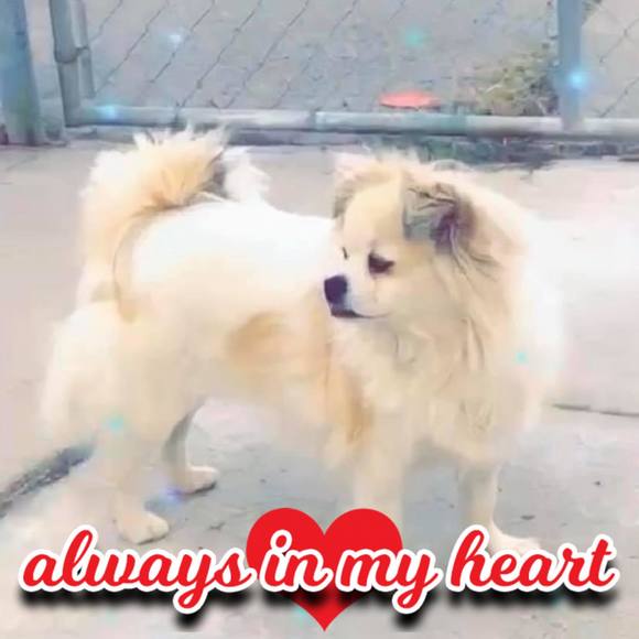 Profile Picture of Claudia Olea nicolas (@olea560) on Poshmark