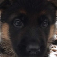 Profile Picture of Liam Stapleton (@liam-stapleton-5) on Quora