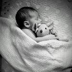 Profile Picture of Davide Cassarino (@d.cassarino_photographer) on Instagram