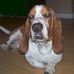 Profile Picture of Otis Calvert (@otis.calvert) on Facebook