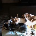 Profile Picture of mark sillitoe (@bigsill74) on Instagram