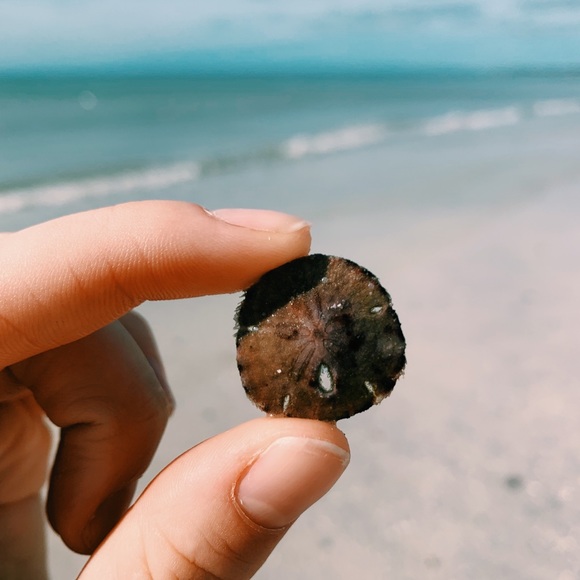 Profile Picture of Jessica Reinecke (@jesposhh22) on Poshmark