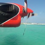 Profile Picture of Alec Monaco (@alec.templebar) on Instagram